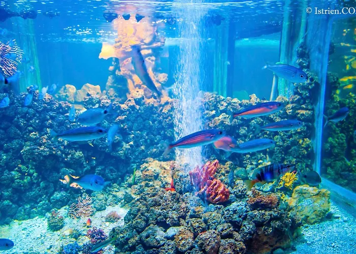 Ulika Апартаменты *